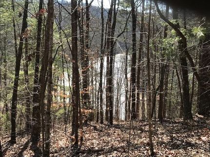 Farm Property for sale in Cherokee County, North Carolina