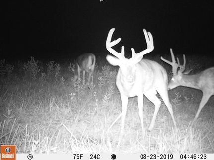 Recreational Property in Jefferson County, Illinois
