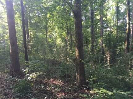 Ranch Property in Yazoo County, Mississippi