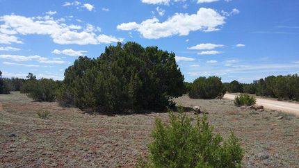 Riverfront Property in Apache County, Arizona