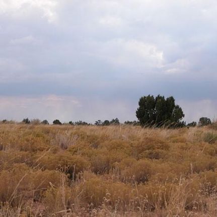 Ranch Property in Coconino County, Arizona