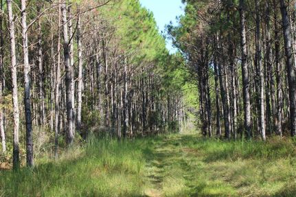 Ranch Property in Madison County, Florida