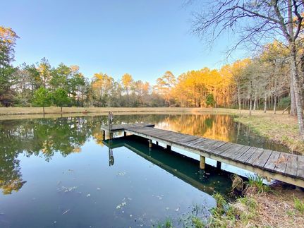 Hunting Land in Montgomery County, Texas