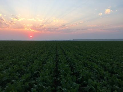 Farm Property in Goshen County, Wyoming