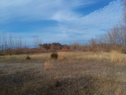 Recreational Property in Tuscola County, Michigan