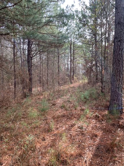 Farm Property in Cherokee County, Texas
