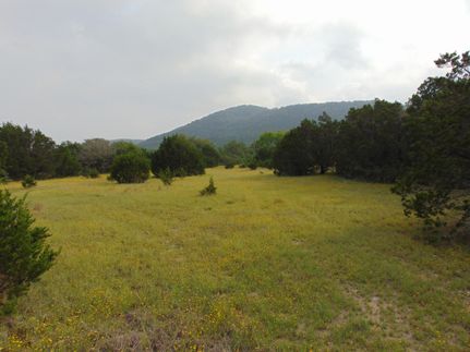 Undeveloped Land in Real County, Texas