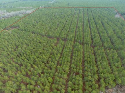 Commercial Property in Cleveland County, Arkansas