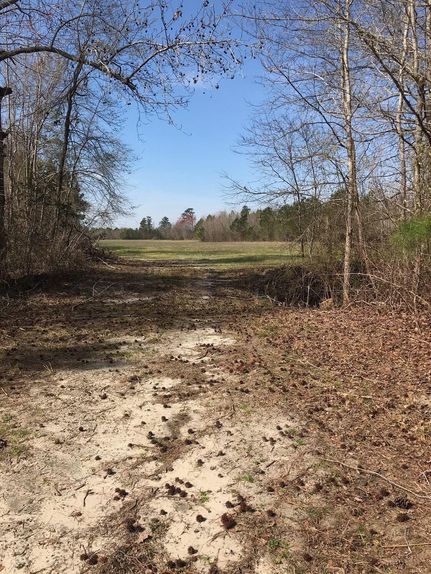 Farm Property in Williamsburg County, South Carolina