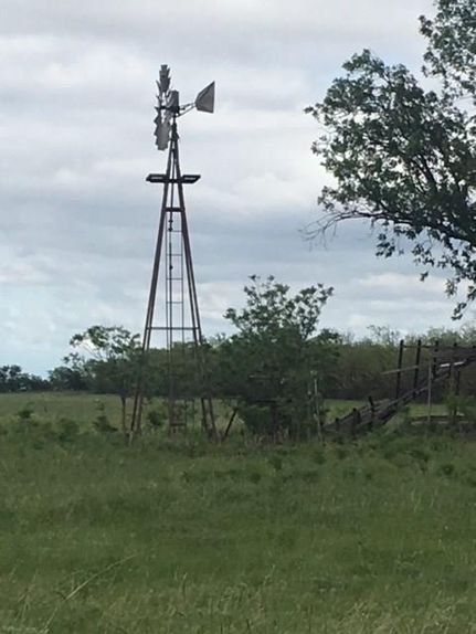 Timberland Property in Jones County, Texas
