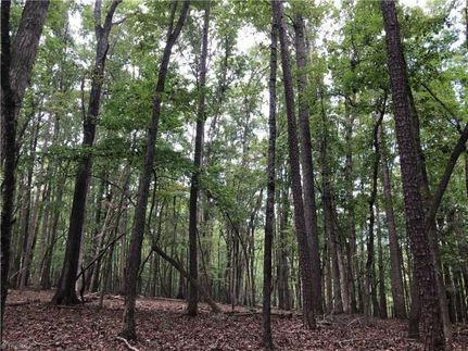 Farm Property in Patrick County, Virginia