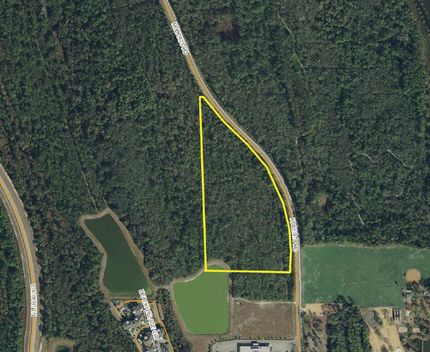 Undeveloped Land in Flagler County, Florida