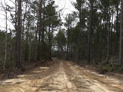 Farm Property in Brunswick County, North Carolina