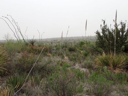 Recreational Property in Terrell County, Texas