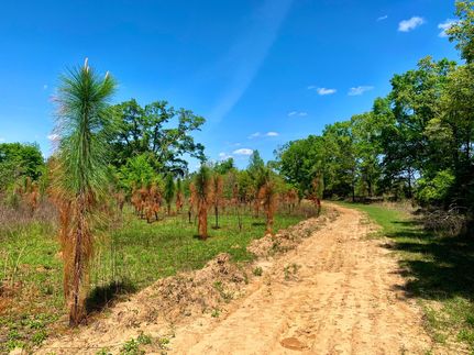 Recreational Property in Barbour County, Alabama