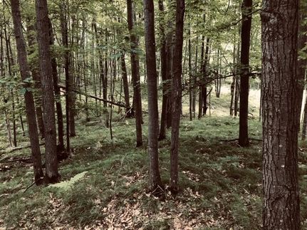 Residential Property in Dickinson County, Michigan