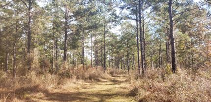 Recreational Property in Wilcox County, Alabama