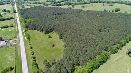 Undeveloped Land in Houston County, Texas