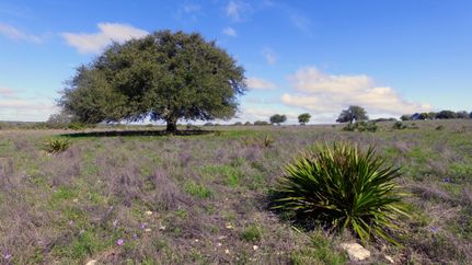 Ranch Property in Gillespie County, Texas