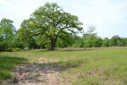 Undeveloped Land in Houston County, Texas