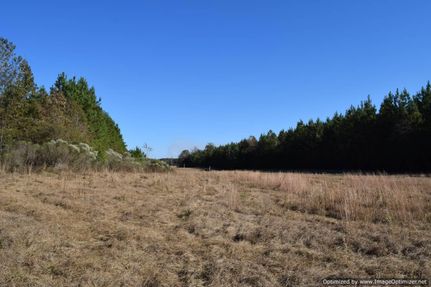 Farm Property in Jasper County, Mississippi