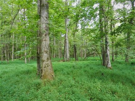 Property in Greene County, Georgia