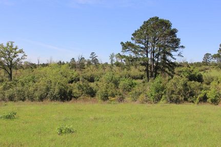 Farm Property in Bastrop County, Texas
