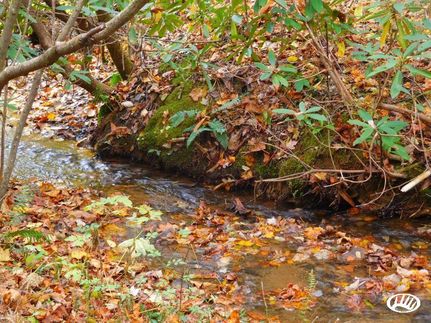 Property in Henderson County, North Carolina