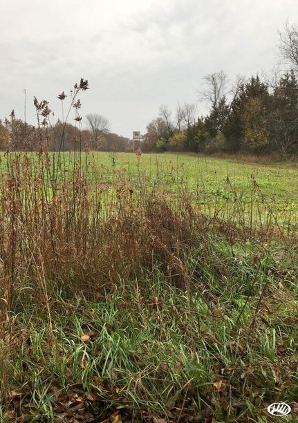 Undeveloped Land in Lucas County, Iowa