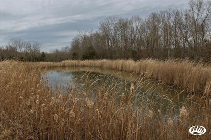 Property in Adams County, Ohio