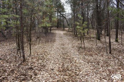 Hunting Land in Marinette County, Wisconsin