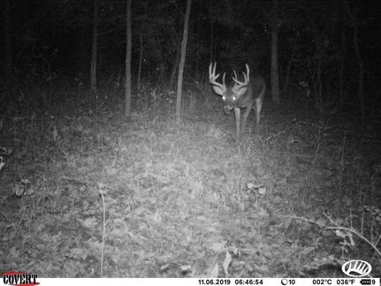 Property in Clark County, Illinois