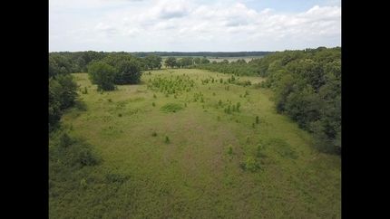 Undeveloped Land in Saint Francis County, Arkansas