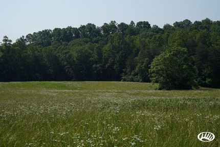 Property in Surry County, North Carolina