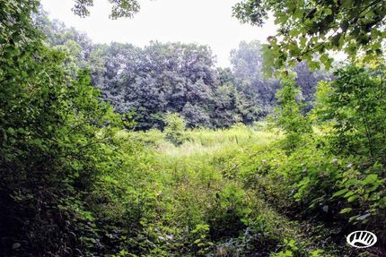 Farm Property in Cass County, Michigan