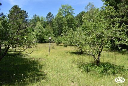 Hunting Land in Marinette County, Wisconsin
