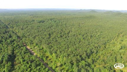 Timberland Property in Jackson County, Wisconsin