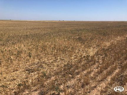 Farm Property in Texas County, Oklahoma