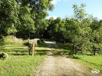 Hunting Land in Clayton County, Iowa
