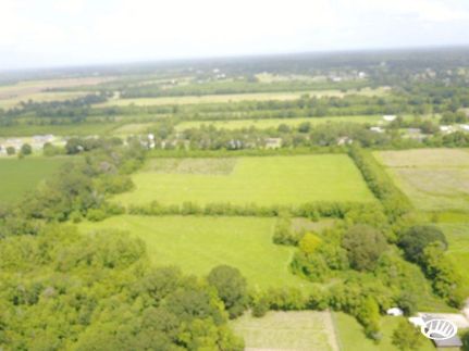 Timberland Property in Saint Landry Parish, Louisiana