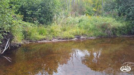 Property in Bayfield County, Wisconsin