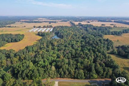 Timberland Property in Graves County, Kentucky