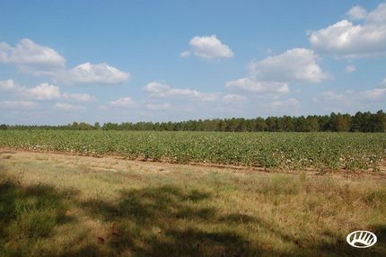 Timberland Property in Tattnall County, Georgia