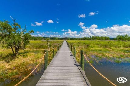 Waterfront Property in Baldwin County, Alabama
