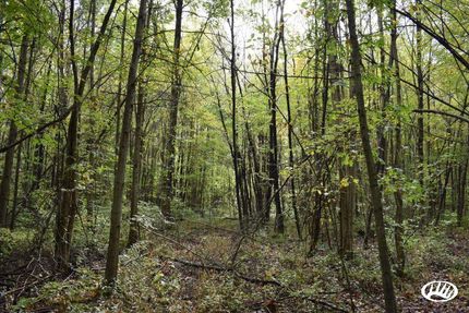 Property in Trumbull County, Ohio