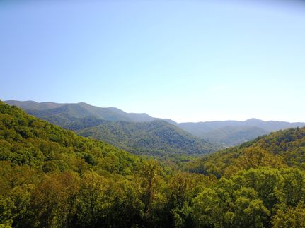 Ranch Property in Buncombe County, North Carolina