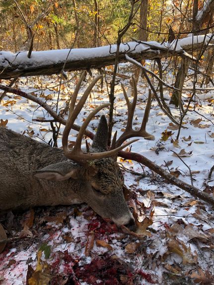 Property in Caldwell County, Kentucky