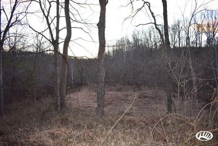 Timberland Property in Rockingham County, North Carolina