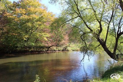 Property in Potter County, Pennsylvania