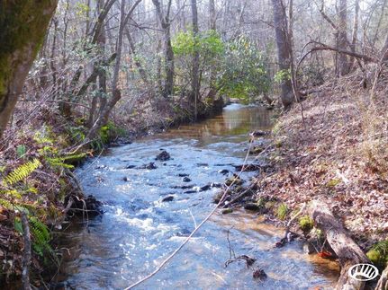 Property in Rutherford County, North Carolina